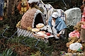 VBS_6959 - Presepe Meccanico di Nonna Rosi 2024